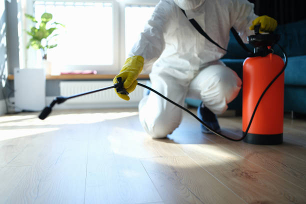 Reliable Hoarding Cleanup contractor in Okahumpka, FL by Trauma Clean Pros